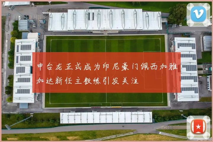 申台龙正式成为印尼豪门佩西加雅加达新任主教练引发关注