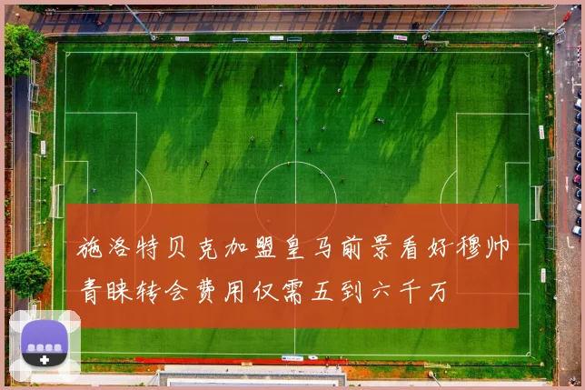 施洛特贝克加盟皇马前景看好穆帅青睐转会费用仅需五到六千万